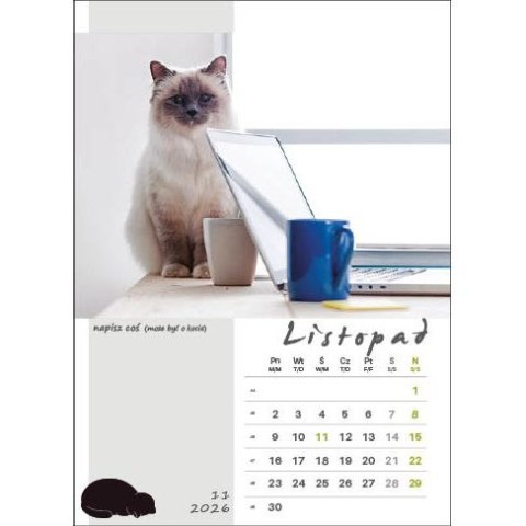 Kalendarz ścienny KOT W BIURZE WIELOPLANSZOWY A3 Jotan (WP136) Jotan