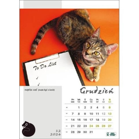 Kalendarz ścienny KOT W BIURZE WIELOPLANSZOWY A3 Jotan (WP136) Jotan