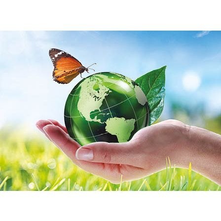 Kalendarz ścienny NATURA TRÓJDZIELNY 320mm x 855mm Jotan (T64) Jotan