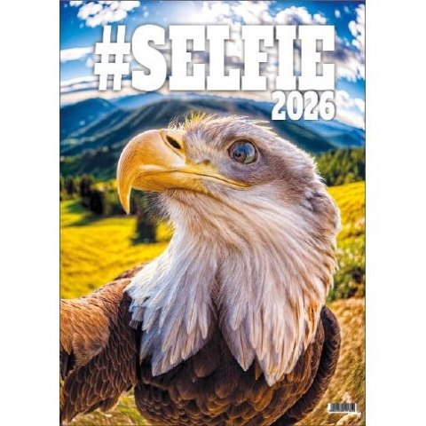 Kalendarz ścienny SELFIE 13-KARTKOWY A3+ Jotan (WP135) Jotan