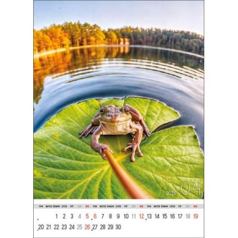 Kalendarz ścienny SELFIE 13-KARTKOWY A3+ Jotan (WP135) Jotan