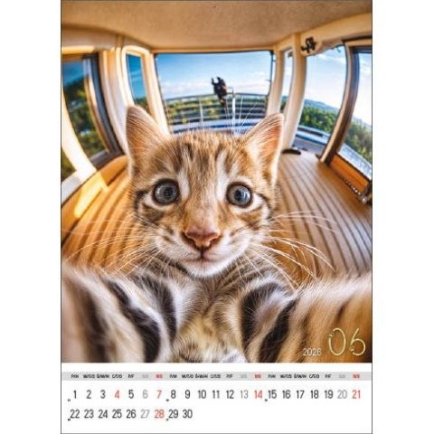 Kalendarz ścienny SELFIE 13-KARTKOWY A3+ Jotan (WP135) Jotan