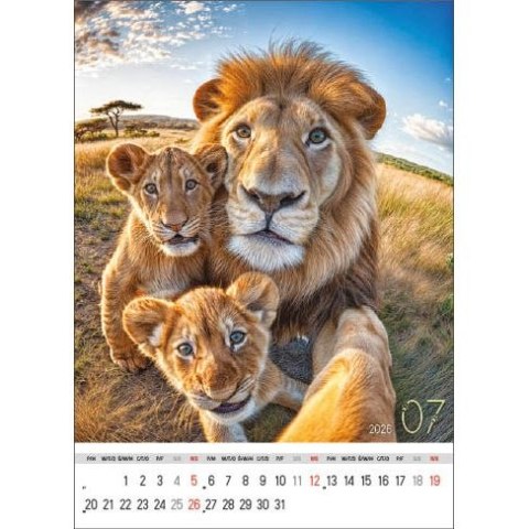 Kalendarz ścienny SELFIE 13-KARTKOWY A3+ Jotan (WP135) Jotan