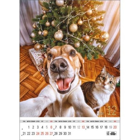 Kalendarz ścienny SELFIE 13-KARTKOWY A3+ Jotan (WP135) Jotan