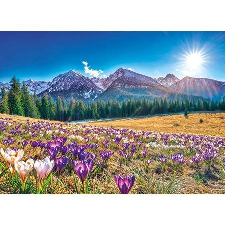 Kalendarz ścienny ZACHÓD SŁOŃCA trójdzielny A3+ Jotan (T43) Jotan