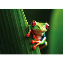 Kalendarz ścienny żABKA trójdzielny 320mm x 855mm Jotan (T63) Jotan