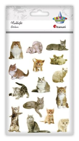 Naklejka (nalepka) Craft-Fun Series Koty Titanum (PPB01) Titanum