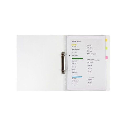 Segregator ringowy KITTENS A4 mix Biurfol (SEN-A4-35) Biurfol