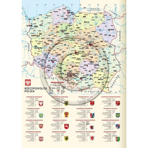 Kalendarz książkowy (terminarz) A6 Lucrum (TS11) Lucrum