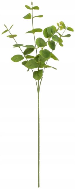 Kwiaty gałązka eukaliptus 63 cm Home And Garden (2006) Home And Garden