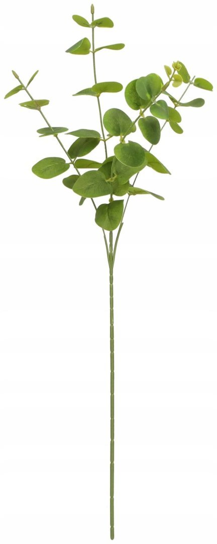 Kwiaty gałązka eukaliptus 63 cm Home And Garden (2006) Home And Garden