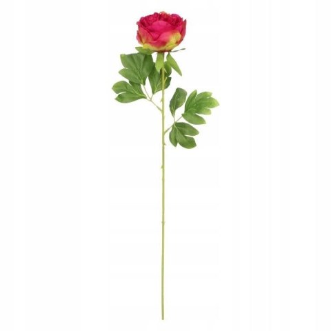 Kwiaty piwonia 60cm czerwona Home And Garden (1822) Home And Garden