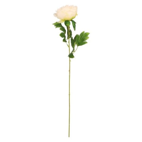 Kwiaty piwonia 60cm kremowa Home And Garden (1792) Home And Garden