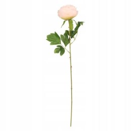 Kwiaty piwonia 60cm różowa Home And Garden (1815) Home And Garden