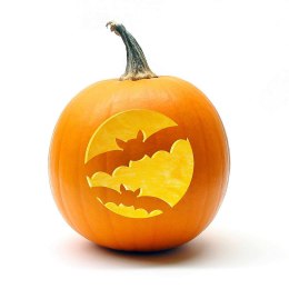 Naklejka (nalepka) SZABLONY DO DYNI Arpex (HA1382) Arpex