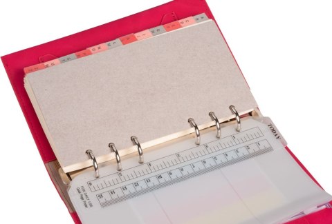 Organizer NABUK MEMOFIX malinowy [mm:] 145x100 Antra (B6) Antra