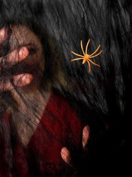 Ozdoba halloweenowa Czarna pajęczyna z pająkiem Arpex (HA7957) Arpex