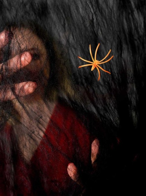 Ozdoba halloweenowa Czarna pajęczyna z pająkiem Arpex (HA7957) Arpex