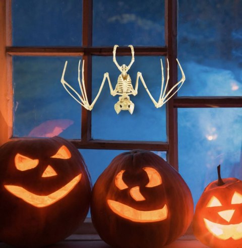 Ozdoba halloweenowa Szkielet nietoperza Arpex (HA4841) Arpex