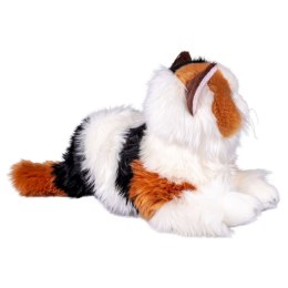 Pluszak kot Callico [mm:] 300 Anek (95045G) Anek