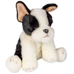 Pluszak pies Boston terrier [mm:] 300 Anek (844404BS) Anek