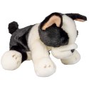 Pluszak pies Boston terrier [mm:] 300 Anek (844404BS) Anek