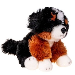 Pluszak pies fluffy 30 cm [mm:] 300 Anek (84404MT AN01) Anek