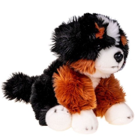 Pluszak pies fluffy 30 cm [mm:] 300 Anek (84404MT AN01) Anek