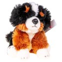 Pluszak pies fluffy 30 cm [mm:] 300 Anek (84404MT AN01) Anek