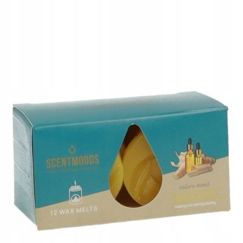 Świeca ScentMoods wosk zapachowy Musk & Wood 12 sztuk Pavoncella (8720935400233) Pavoncella