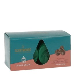 Świeca ScentMoods wosk zapachowy Winterwoods 12 sztuk Zielony Pavoncella (8720935400219) Pavoncella