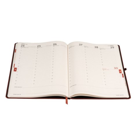 Kalendarz książkowy (terminarz) 2026 FORMALIZM TDW A4 Antra (BRĄZOWY) Antra