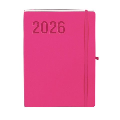 Kalendarz książkowy (terminarz) 2026 IMPRESJA TDW B5 Antra (różowy) Antra