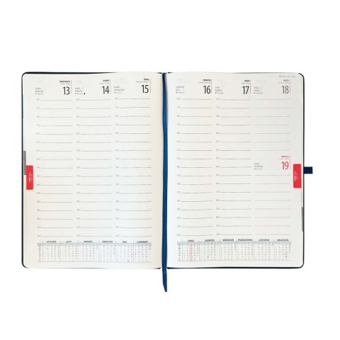 Kalendarz książkowy (terminarz) terminarz A4 Avanti (5902641332678) Avanti