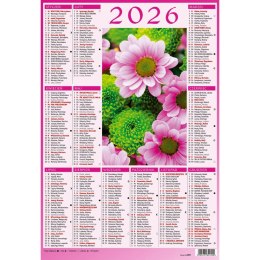 Kalendarz ścienny 5905031841033 plakietka A4 230mm x 335mm Wydawnictwo Wokół Nas (KS059) Wydawnictwo Wokół Nas