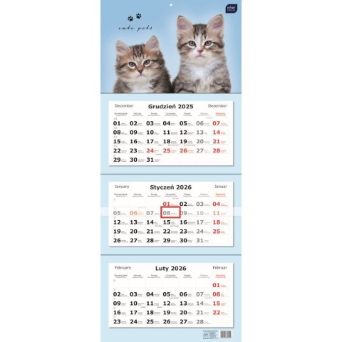 Kalendarz ścienny TRÓJDZIELNY 825mm x 340mm Interdruk (KOTY) Interdruk