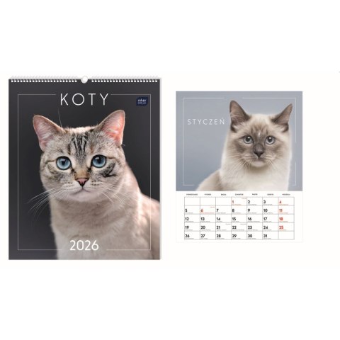 Kalendarz ścienny WIELOPLANSZOWY 355mm x 400mm Interdruk (KOTY) Interdruk