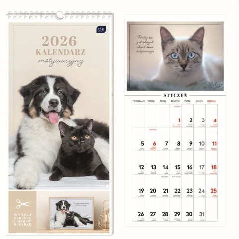 Kalendarz ścienny motywujący 220mm x 460mm Interdruk (ZWIERZAKI) Interdruk