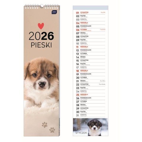 Kalendarz ścienny paskowy 135mm x 500mm Interdruk (PSY) Interdruk