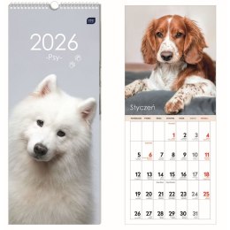 Kalendarz ścienny paskowy 170mm x 410mm Interdruk (PSY) Interdruk