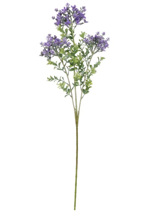 Kwiaty Lucerna 72 cm Home And Garden (1555) Home And Garden
