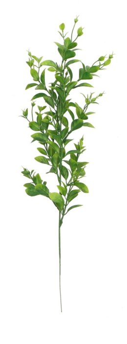 Kwiaty gałązka bukszpanu 50 cm Home And Garden (2026) Home And Garden