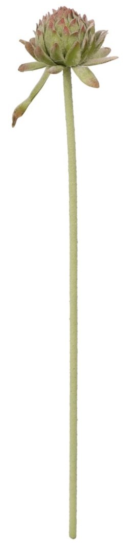 Kwiaty karczoch 60cm Home And Garden (8219) Home And Garden