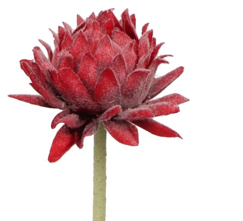 Kwiaty karczoch 60cm Home And Garden (8219) Home And Garden