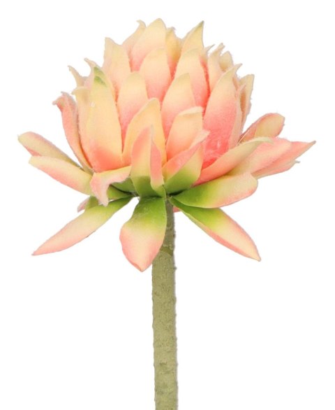 Kwiaty karczoch 60cm Home And Garden (8219) Home And Garden