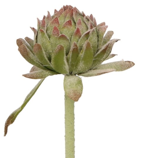 Kwiaty karczoch 60cm Home And Garden (8219) Home And Garden