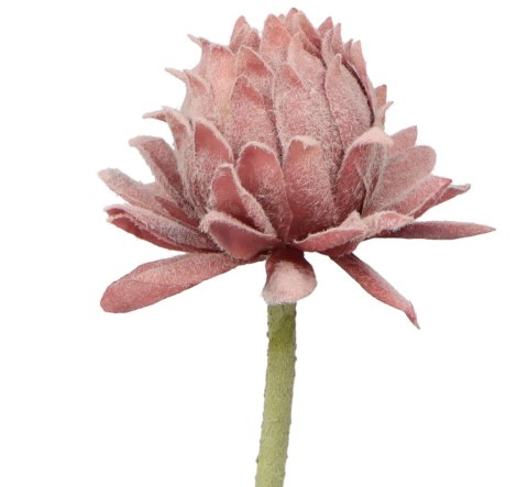 Kwiaty karczoch 60cm Home And Garden (8219) Home And Garden