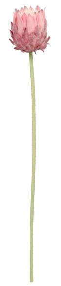 Kwiaty karczoch 65cm Home And Garden (8226) Home And Garden