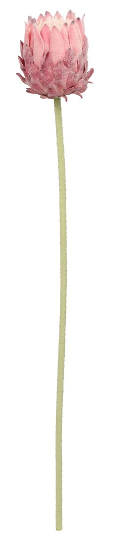 Kwiaty karczoch 65cm Home And Garden (8226) Home And Garden