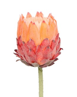 Kwiaty karczoch 65cm Home And Garden (8226) Home And Garden